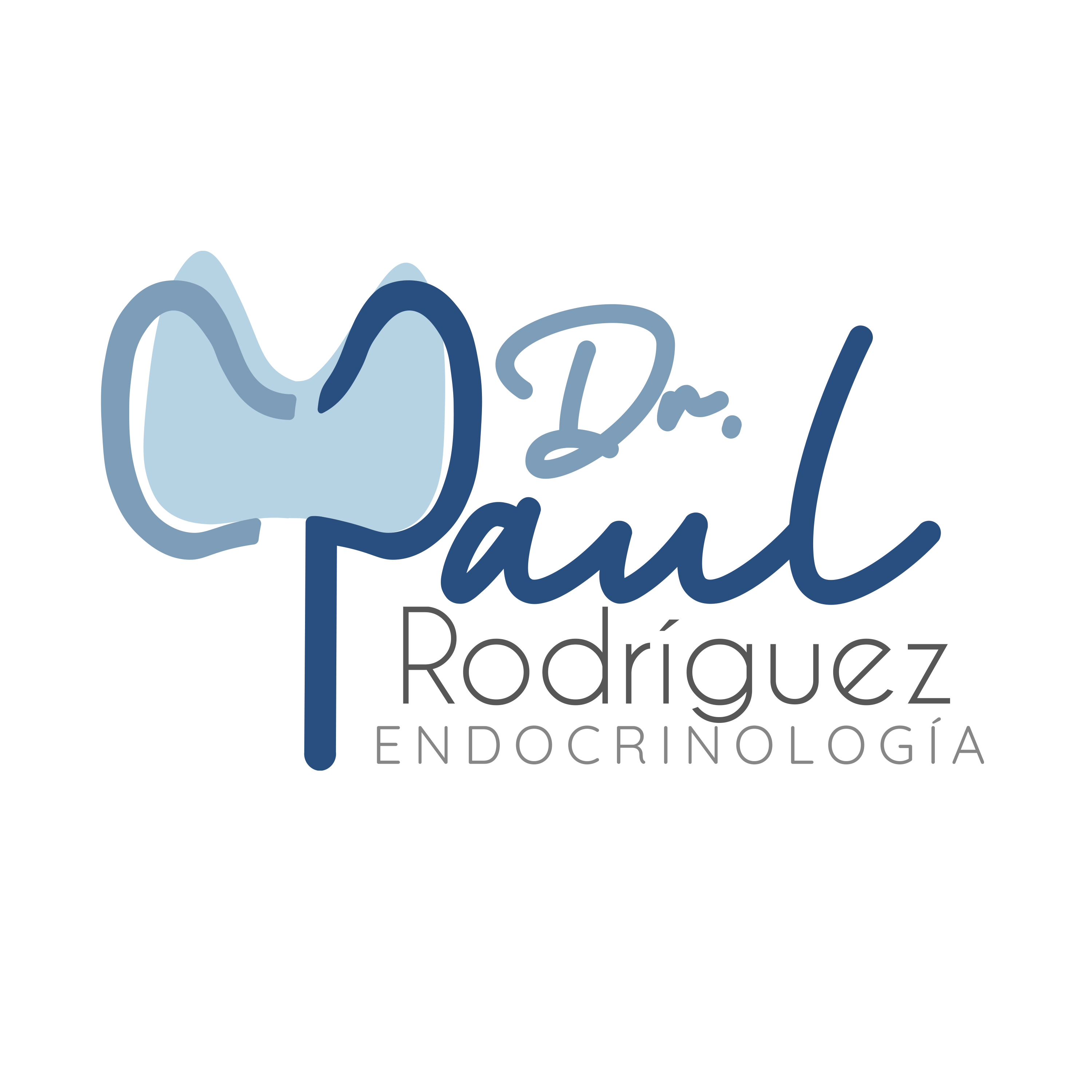 Dr. Paul Antonio Rodriguez Morales