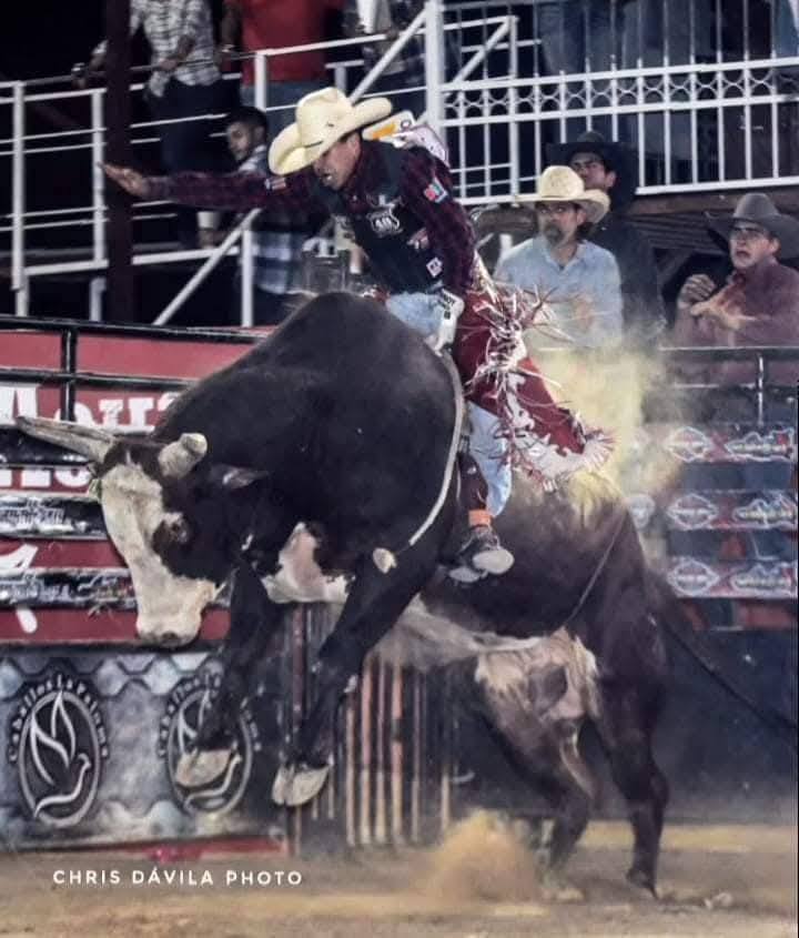 Foto de Super Bull